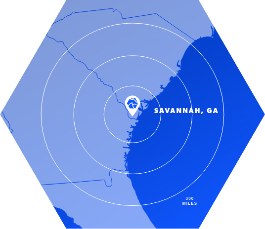 hex map of savannah georgia
