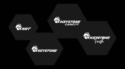 BRS brands logos